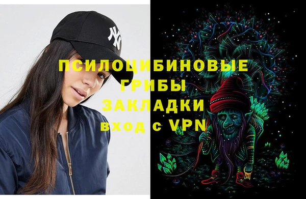 гидра Приозерск