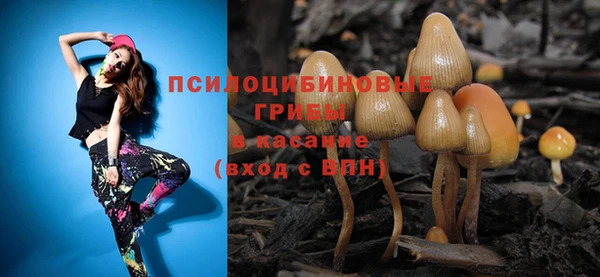 ECSTASY Алексеевка