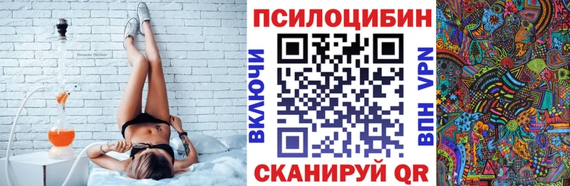 Псилоцибиновые грибы Cubensis  Полярный 